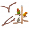 Satinwood Parrot Standing Twig, with Iron Finding, Pet Supplies