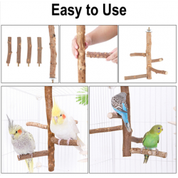 Satinwood Parrot Standing Twig, with Iron Finding, Pet Supplies
